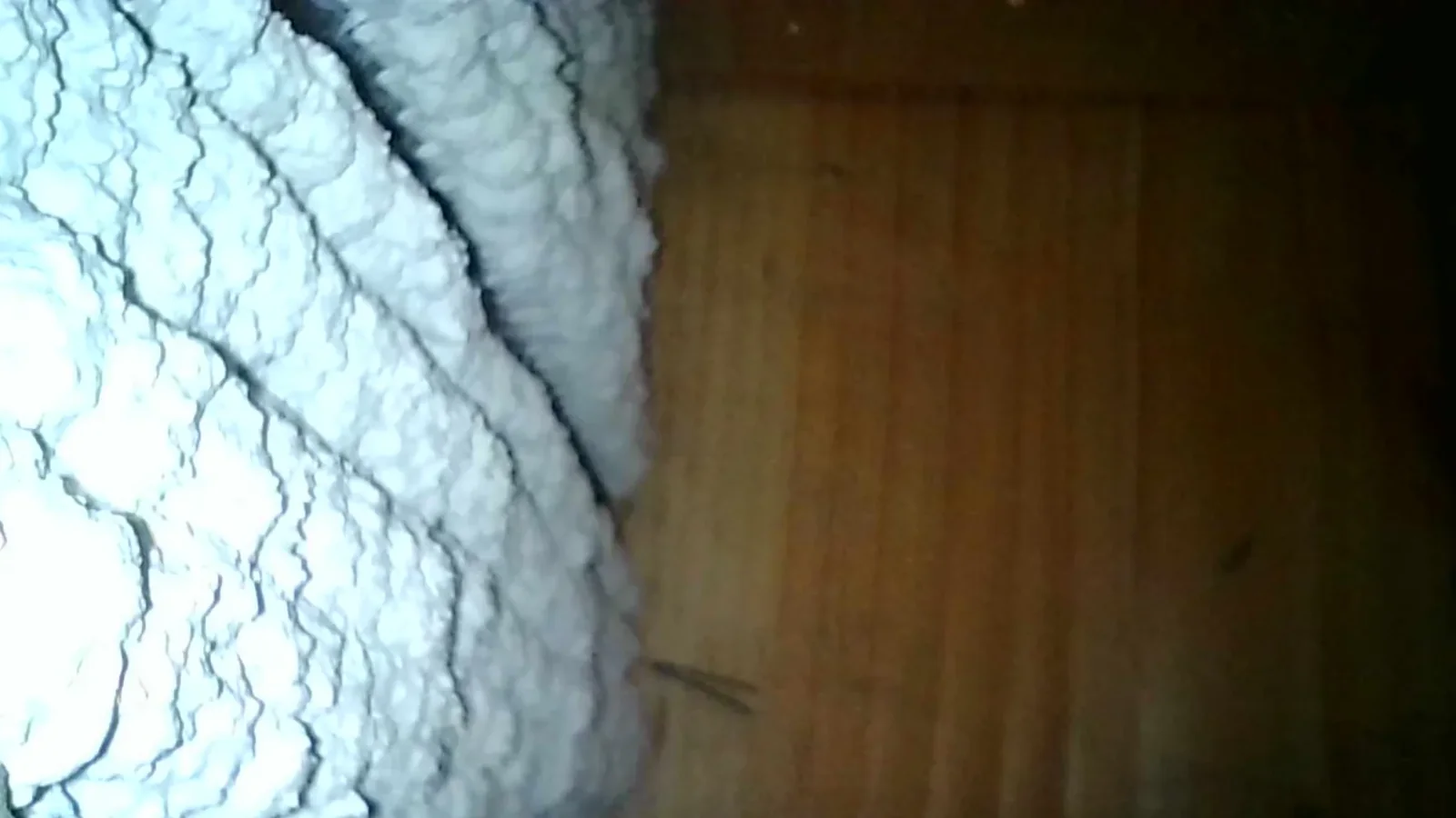 Inspection photo: concealed wall insulation framing
