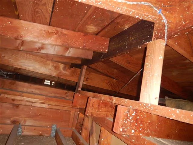 Inspection photo: attic roof framing