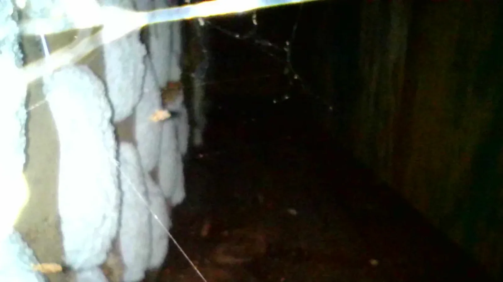 Inspection photo: wall cavity insulation framing
