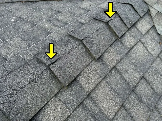 Inspection photo: shingle wear damage