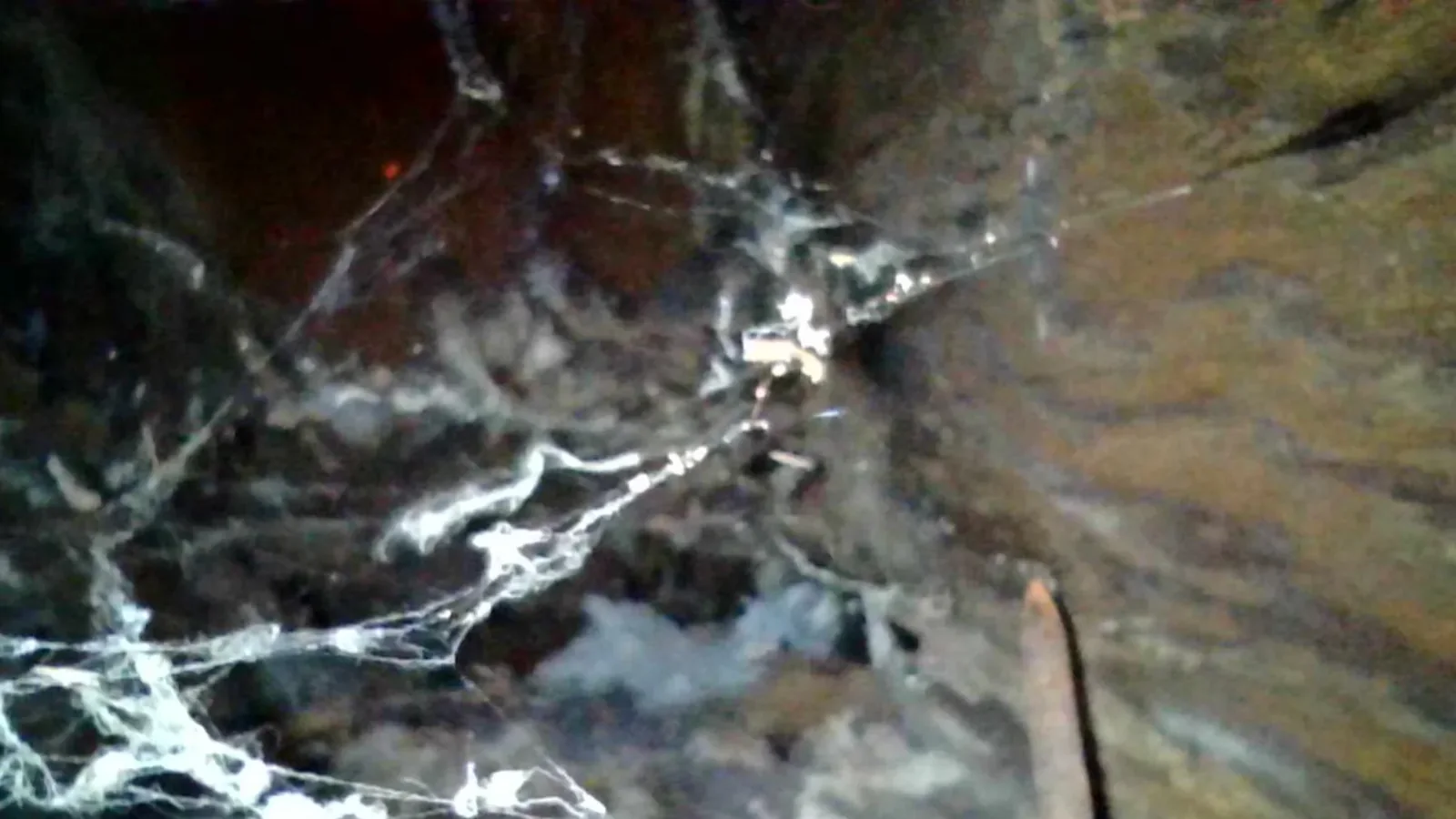 Inspection photo: concealed balcony structural members