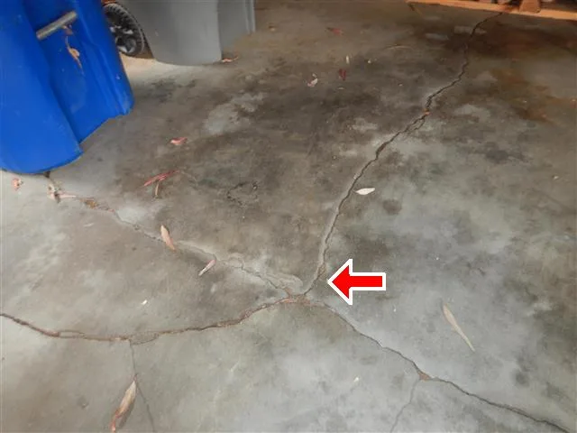 Inspection photo: foundation crack