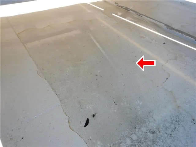 Inspection photo: flat roof ponding
