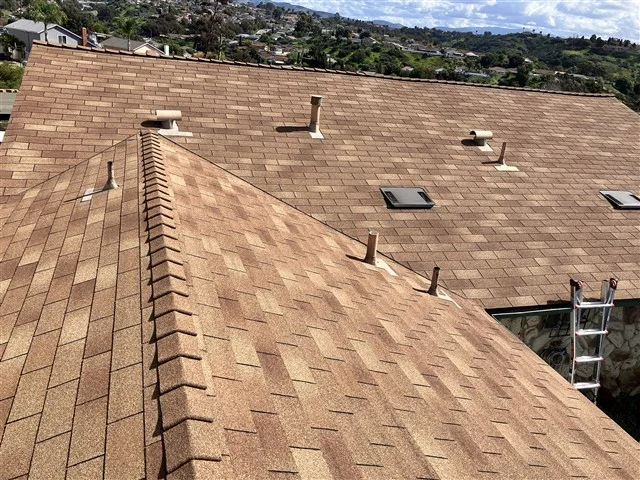 Inspection photo: roof covering