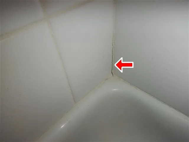 Inspection photo: tub grout crack