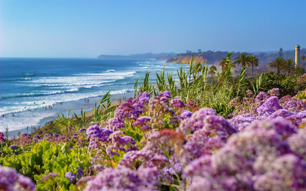 Del Mar